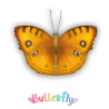 Expositor de 12 uds -  Butterfly (Mariposas)