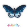 Expositor de 12 uds -  Butterfly (Mariposas)