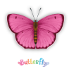 Expositor de 12 uds -  Butterfly (Mariposas)