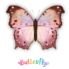 Expositor de 12 uds -  Butterfly (Mariposas)