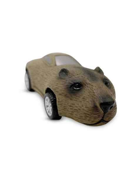 Expositor 5 uds - Dominator Savana Car