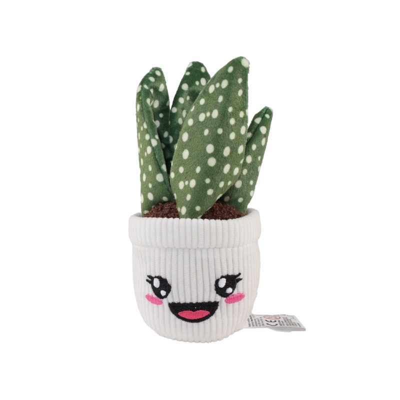 4Ever Green Sobre Sorpresa